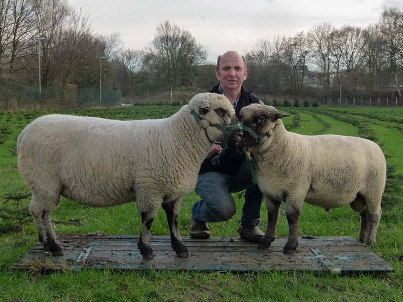 Bundesschau Berlin 2016 Bundesschau Berlin 2016